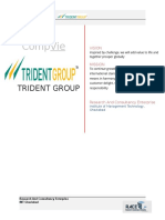 Compvie W: Trident Group
