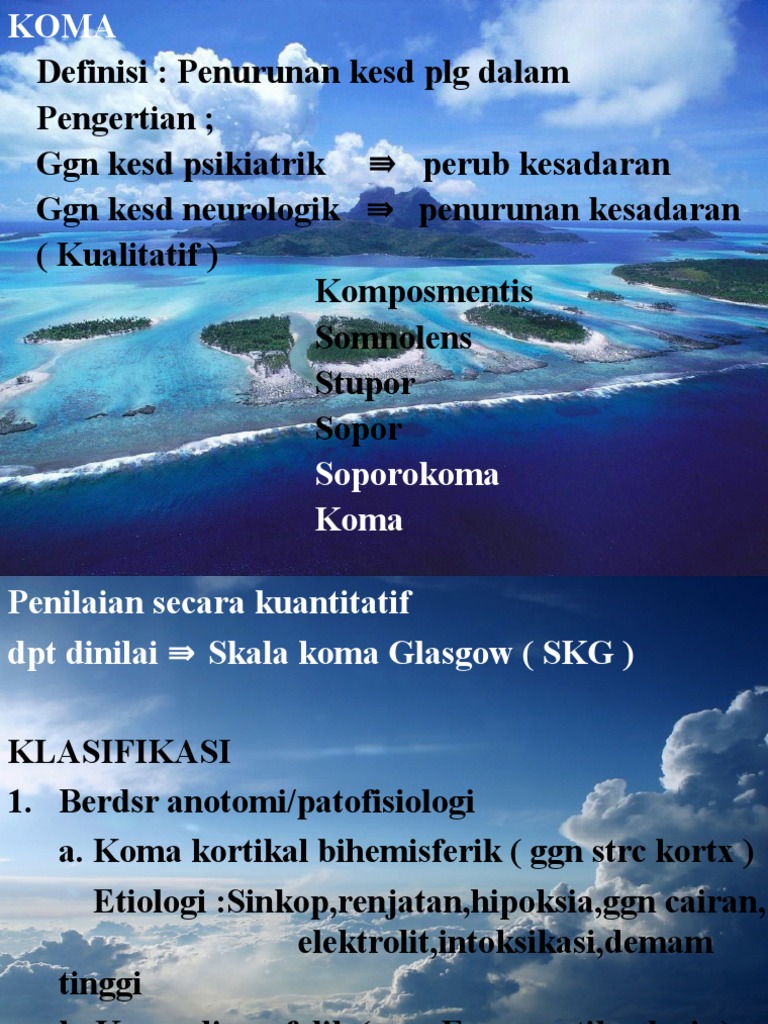 Koma | PDF