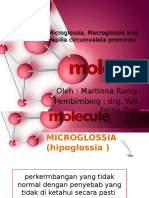 (BARU) Makroglosia Microglossia Dan Papilla Circumvata Prominen MARTIN