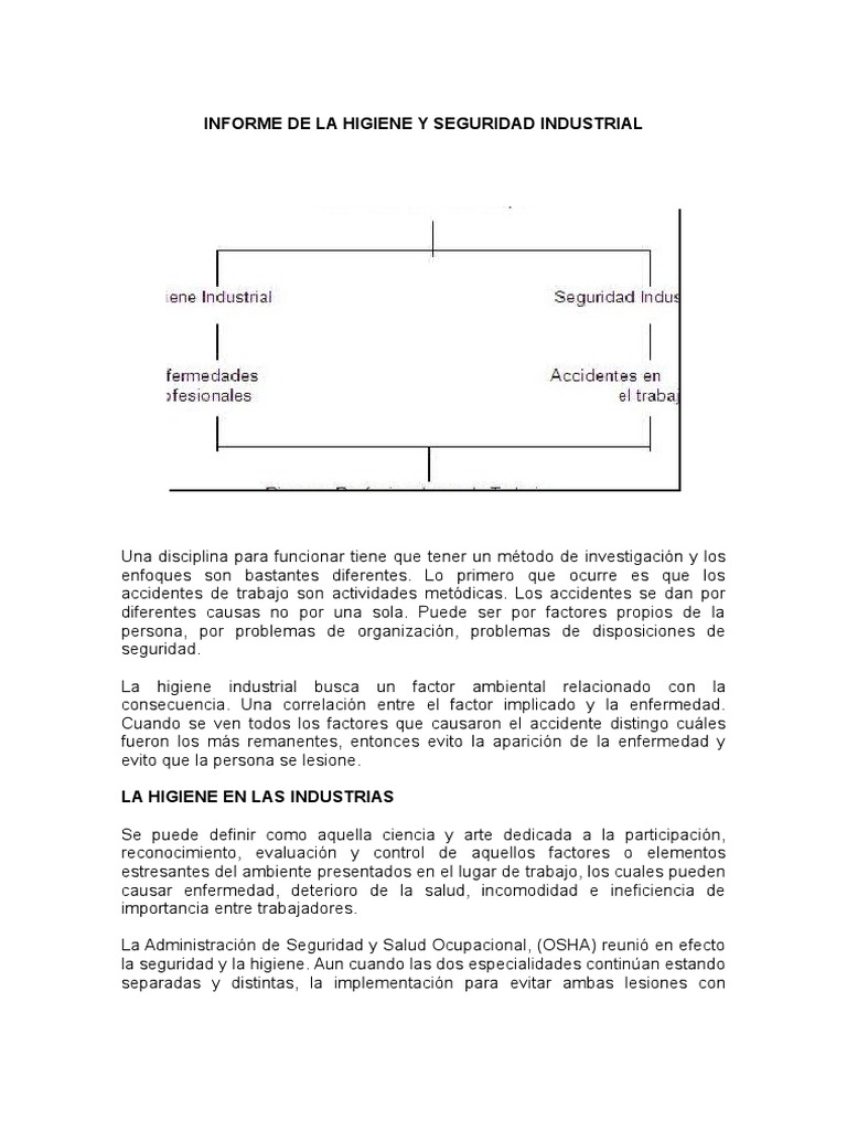 Informe de La Higiene y Seguridad Industrial | Descargar gratis PDF ...