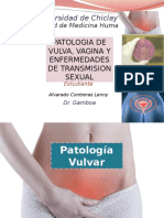 Patología vulvar: enfermedades infecciosas y lesiones