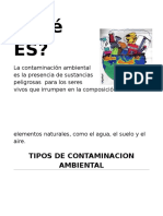 Contaminacion Ambiental