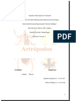 Artropodos - Docxgenesis Vega - Docxlistooo