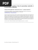 Durabilite Des Mortiers a Base de Pouzzolane Naturelle Et