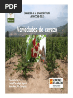 Download Variedades de Cerezo by Geral Blanco SN332819503 doc pdf