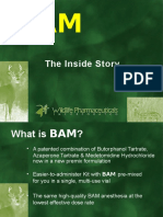 The Story of BAM Presentation - 2015