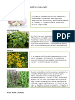 PLANTAS CURATIVAS