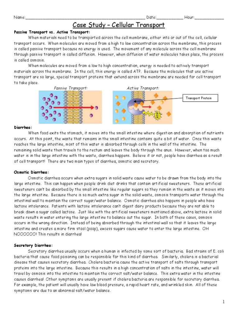 Cellular transport biology picture