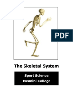 3 skeletal system