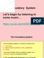 Lesson 4 - Circulatory System