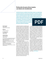 DDII.pdf