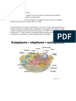 Protoplasma