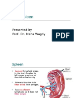 The Spleen: Presented by Prof. Dr. Maha Wagdy