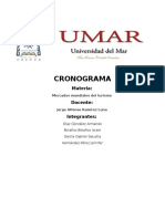 Cronograma