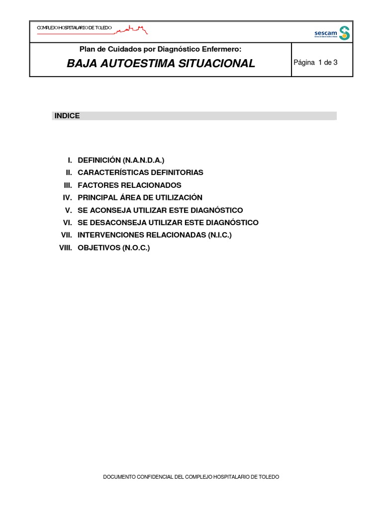 Plan de Cuidados: Baja Autoestima Situacional | PDF | Diagnostico ...