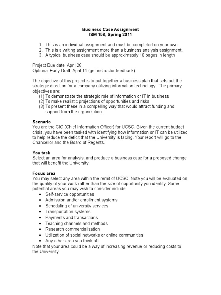 Business Case Assignment Guidelines | PDF | Chief Information Officer ...