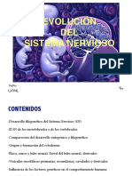 Desarrollo SN Genetica Neuroplasticidad 