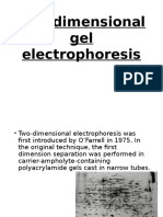 2 D gel.pptx