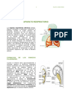 13° Aparato Respiratorio PDF