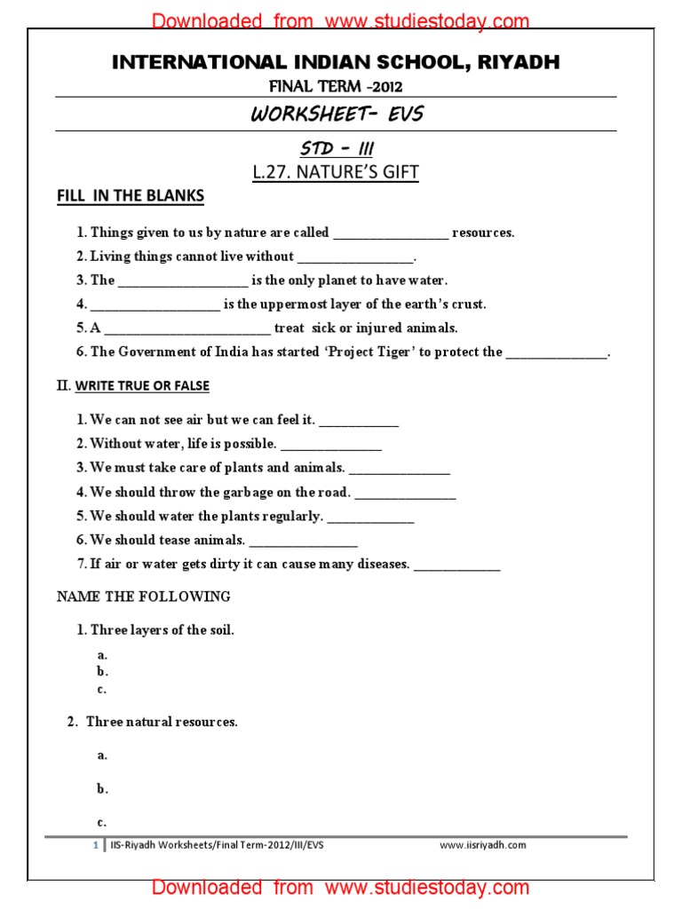 CBSE Class 3 EVS Work We Do Worksheet