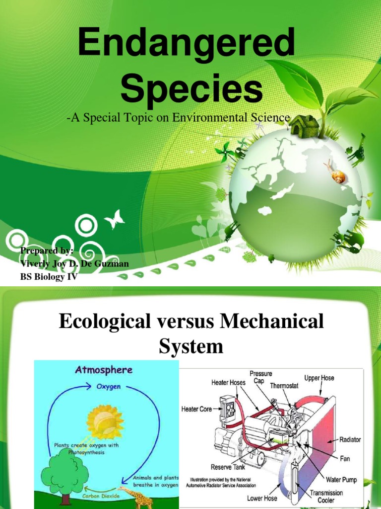 Endangered Species: Conservation Insights | PDF | Endangered Species ...