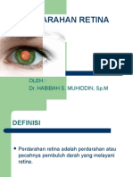 Perdarahan Retina