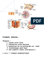 Fungsi Ginjal