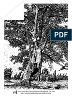 trees_coloring_page.pdf