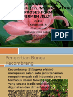 Penggunaan Bunga Kecombrang (Etlingera Elatior)