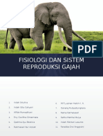 Fisiologi Dan Sistem Reproduksi Gajah
