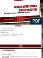 Balkan Finance Investment Group (Balfin), Analiza Ekonomike