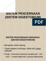 Sistem Pencernaan1