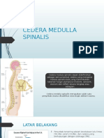 Cedera Medulla Spinalis