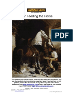 417_Feeding_the_horse.pdf