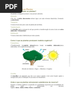 Novo Documento Do Microsoft Word