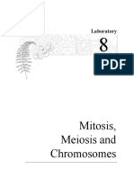 Lab 08 Mitosisandmeiosis