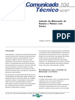 Etileno PDF