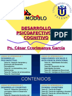 Psicoafectivo 1