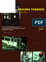 2013, EP, Trauma Thermik