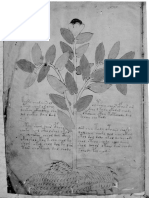 El Manuscrito Voynich (Mirasala Ar).pdf