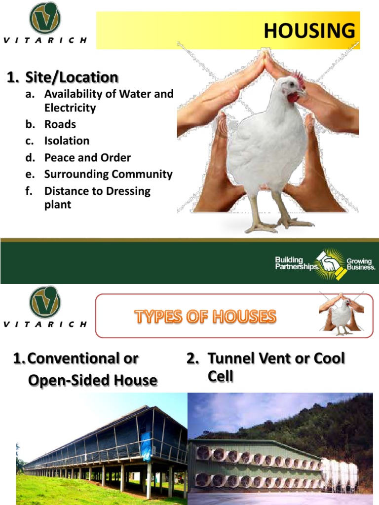 Housing-Brooding Technical Protocols PDF | PDF | Birds | Ventilation ...