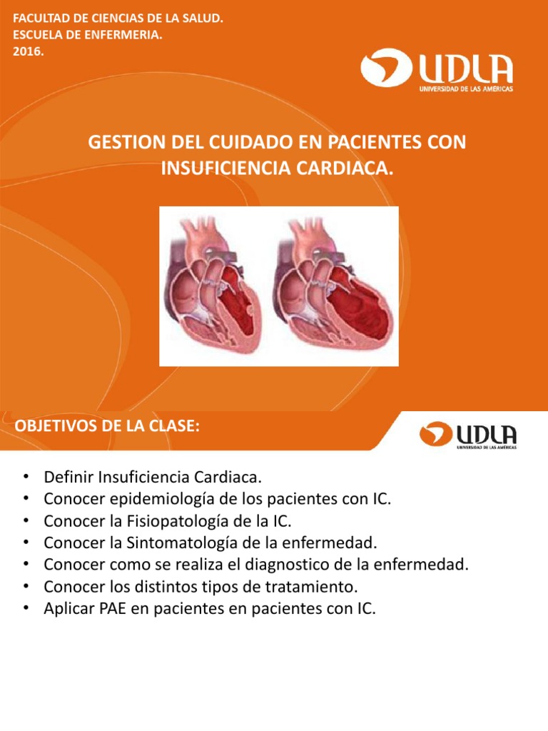 Guía Astrológica Para Corazones Rotos Pdf Gratis