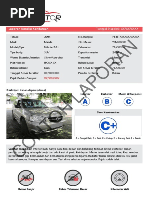 Contoh Laporan Otospector