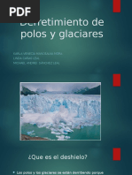 Exposicion Derretimiento de Polos