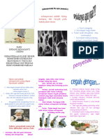 Leaflet Osteoporosis Endang