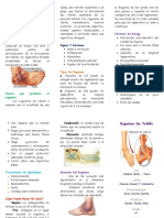 Triptico de Esguince