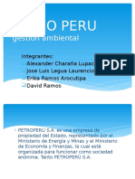 SGI-PETRO-PERU_II[1]