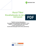 Kuczi_kisvallalkozas_tarskornyezet.pdf