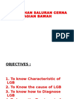 Perdarahan Saluran Cerna Bagian Bawah