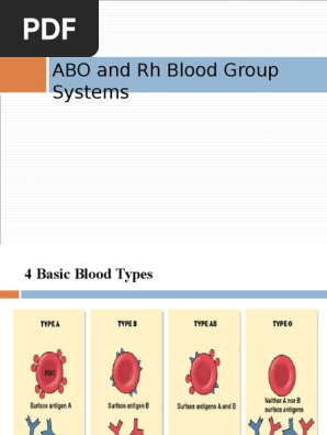 Rh Isoimmunization Prit Pregnancy Blood Type